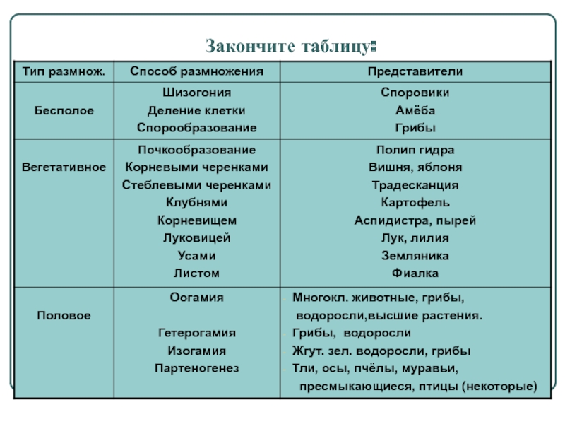 Кракен телеграм каналы