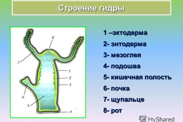 Актуальные ссылки даркнет