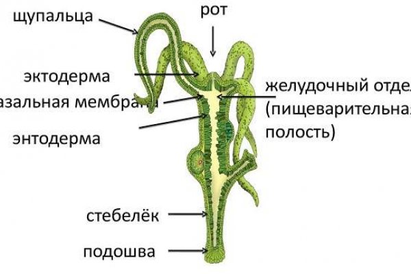 Кракен что это за сайт